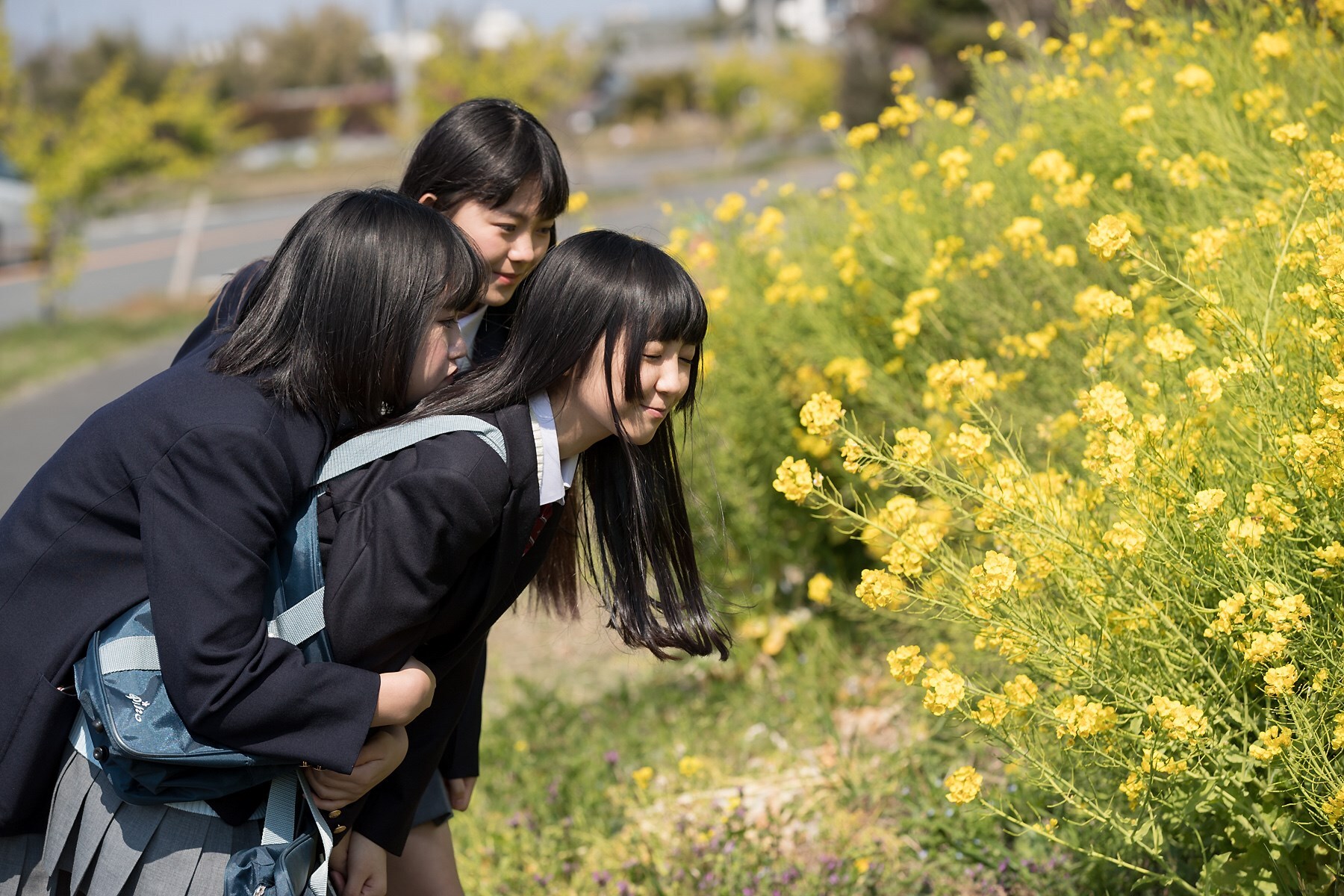 [ Minisuka.tv ]Newcomer 2017 - special gallery 01